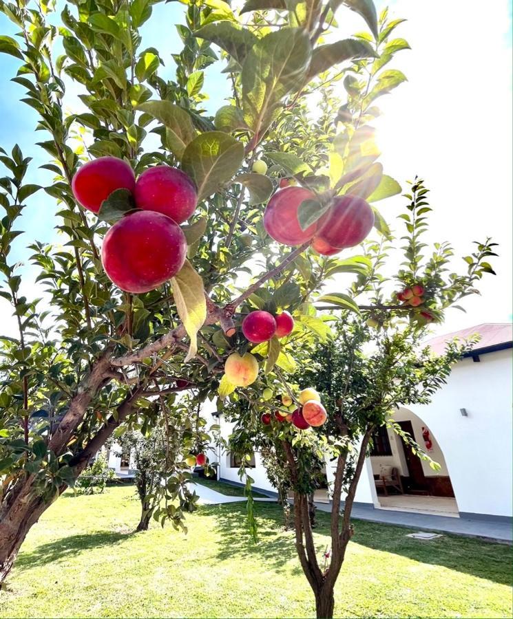 Bella Tilcara Boutique Hotel Zewnętrze zdjęcie